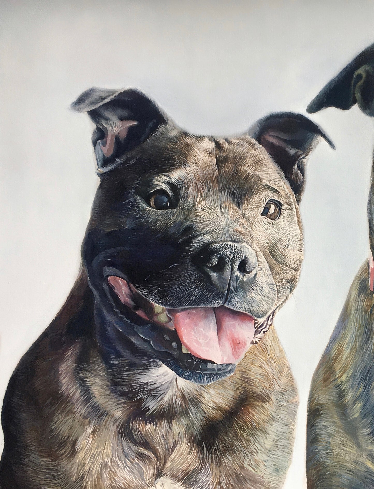 Custom Pet Portraits - Email Interest