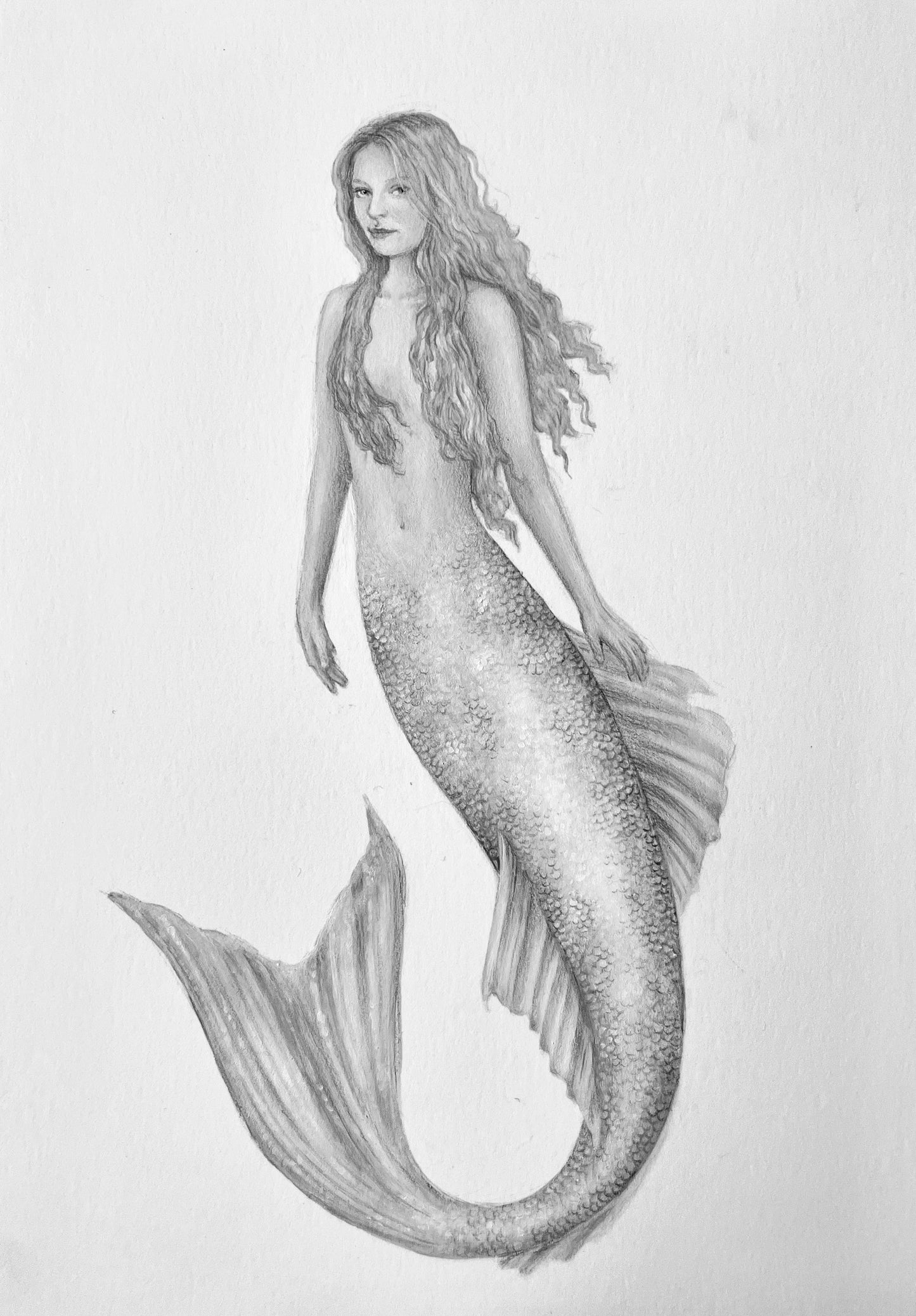 Custom Fantasy Portraits