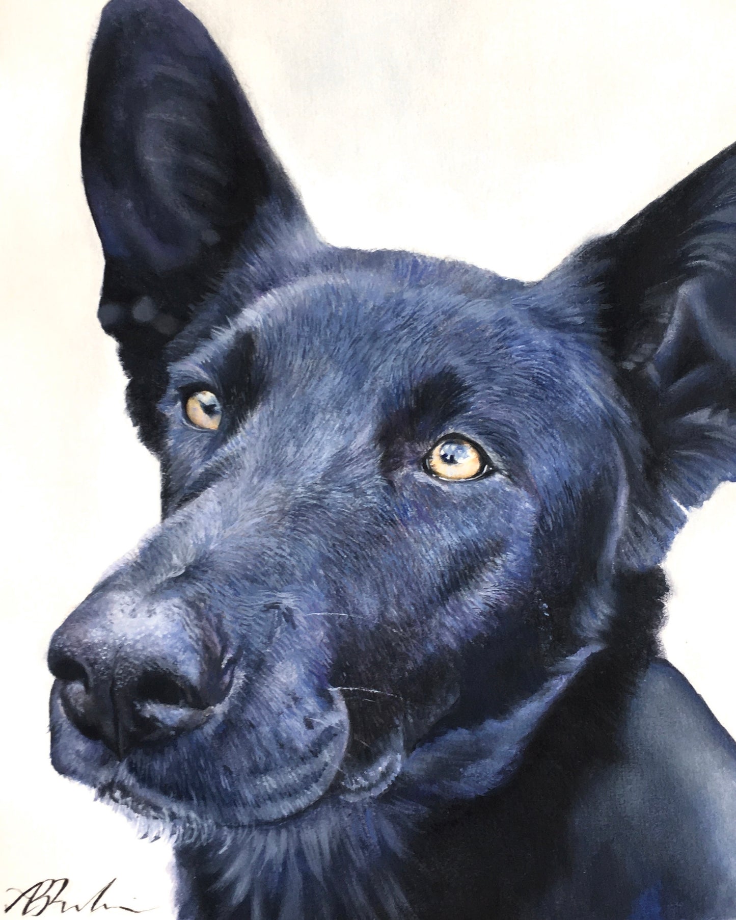 Custom Pet Portraits - Email Interest