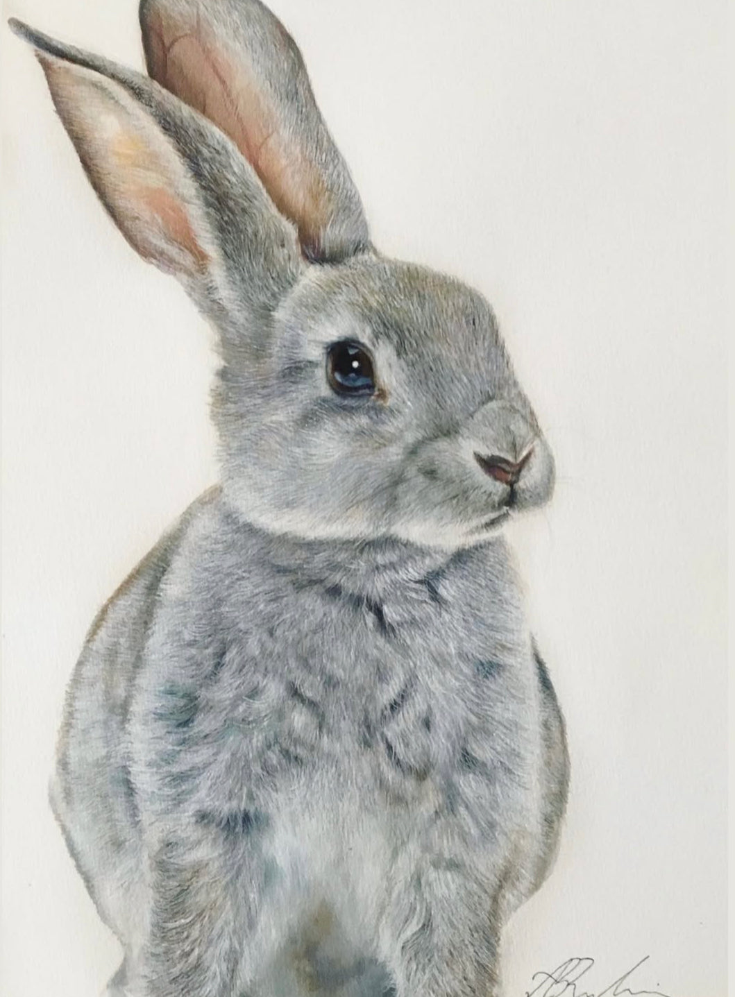 Custom Pet Portraits - Email Interest