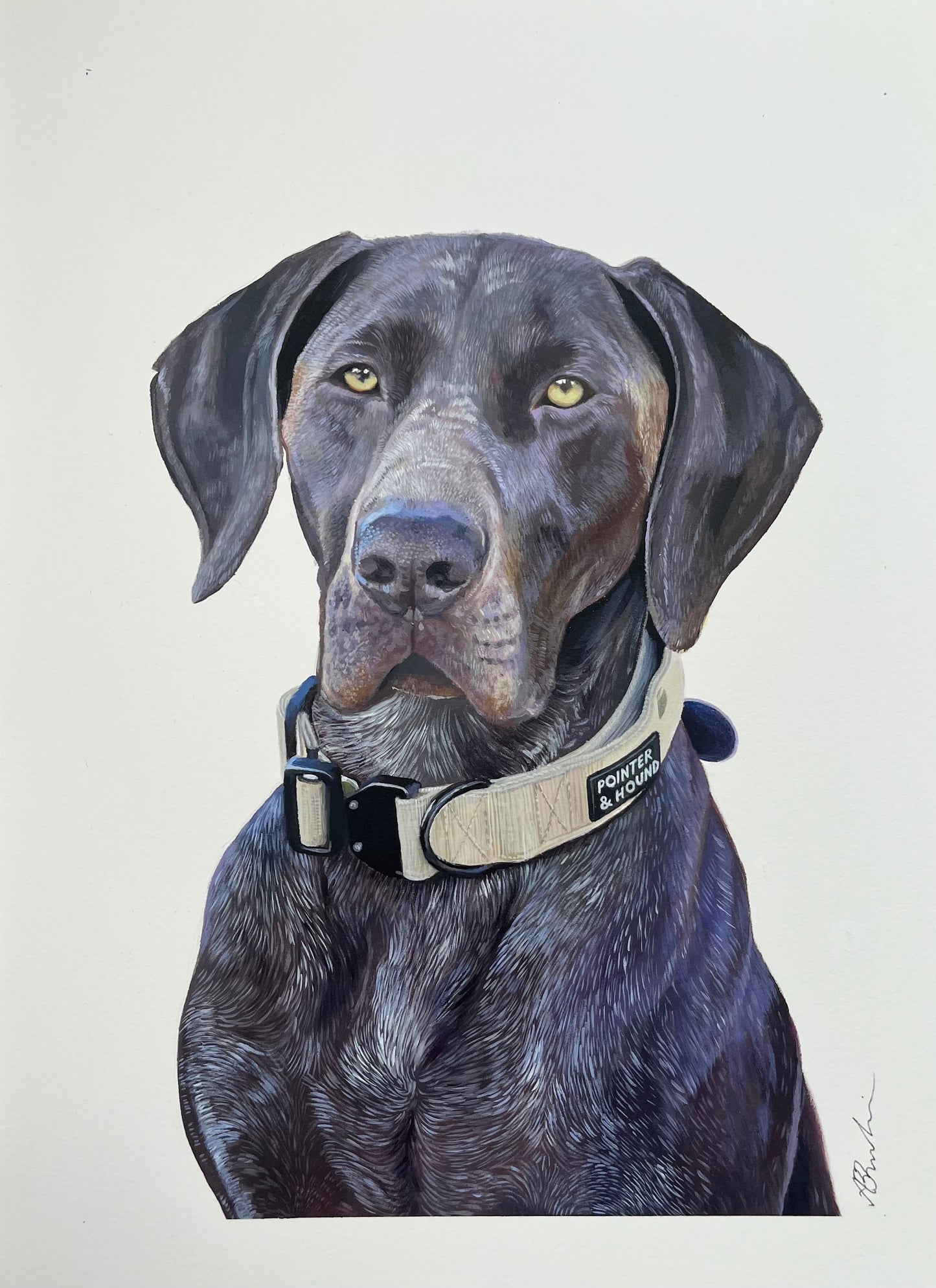 Custom Pet Portraits - Email Interest